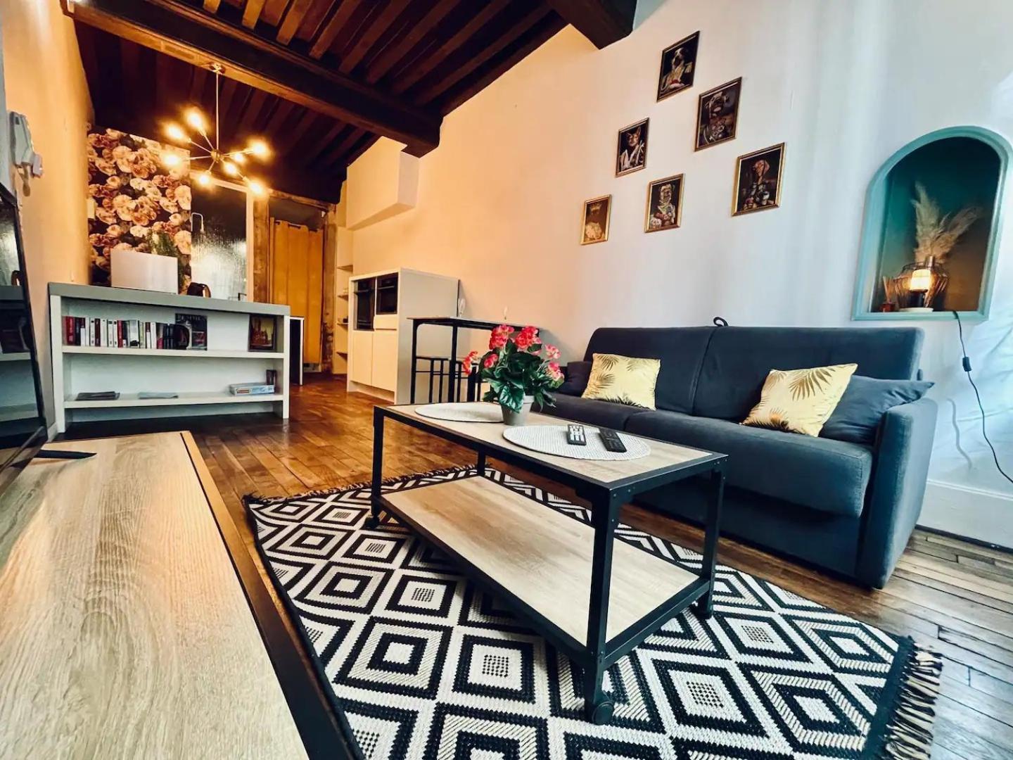 Apartment Le Cordelier Dijon